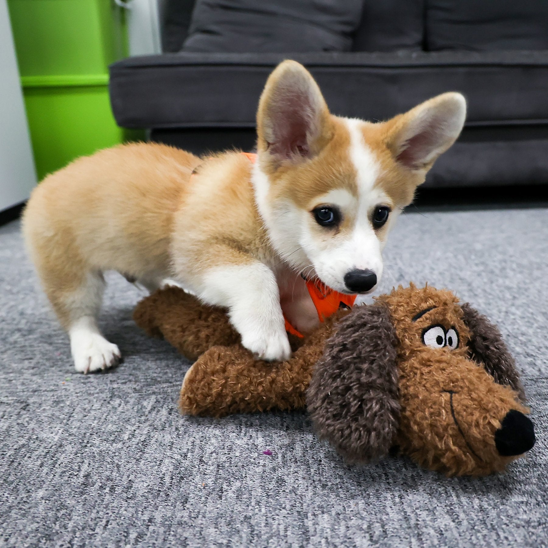 Calming Pals-Dog Toy Anti Anxiety Plush Buddy